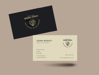 Deluxe Business cards